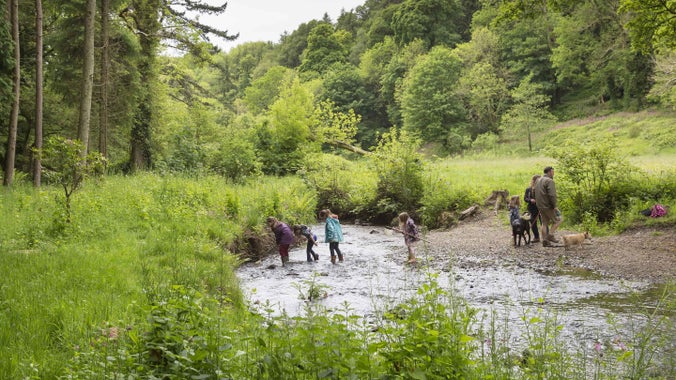 Adults and children paddling in the stream in woodland, at Colby Woodland Garden, Pembrokeshire.